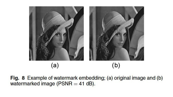 ▲a 是原始图像，b 是加了盲水印的图像，肉眼看不出区别