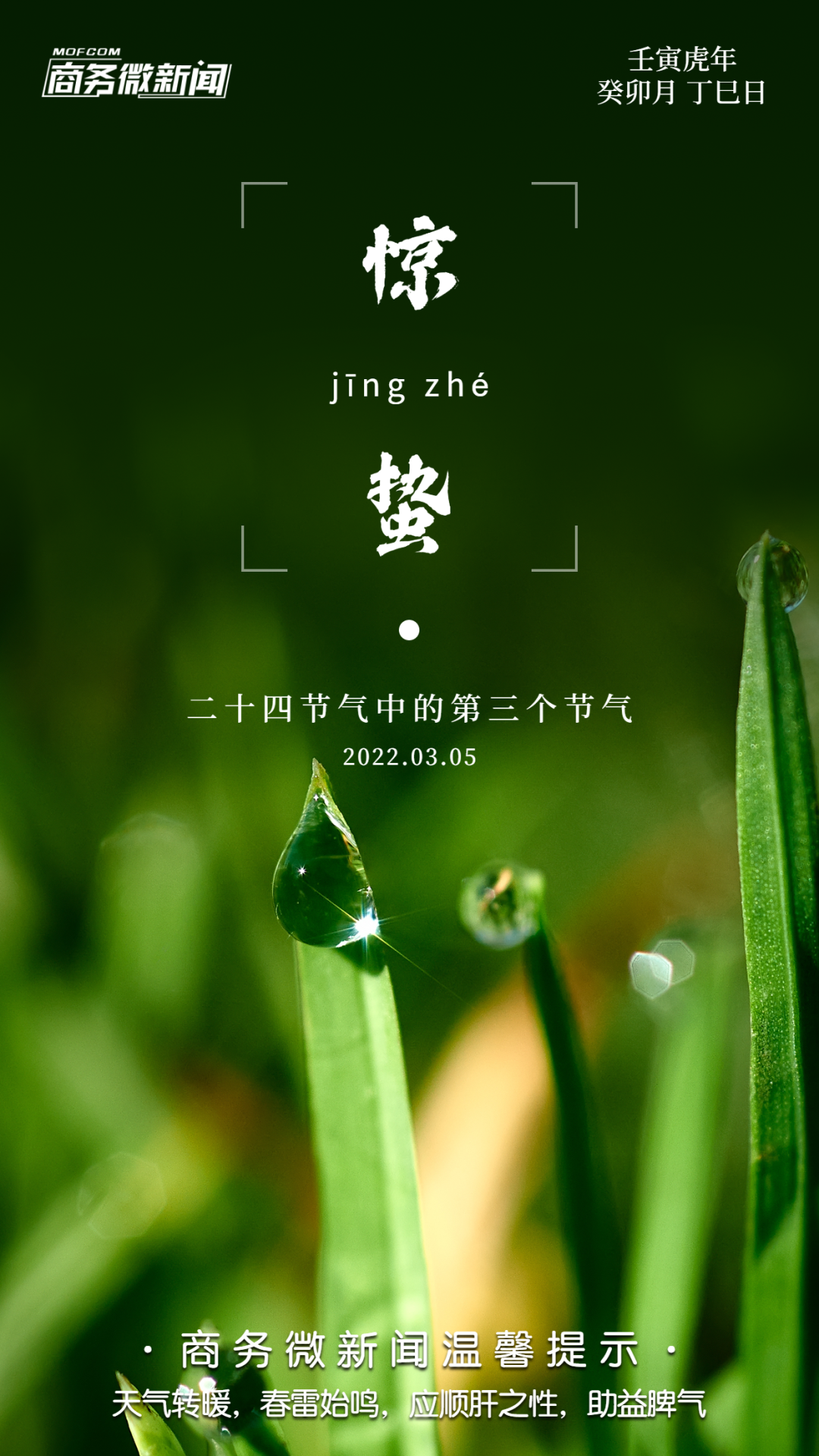 二十四节气今日惊蛰