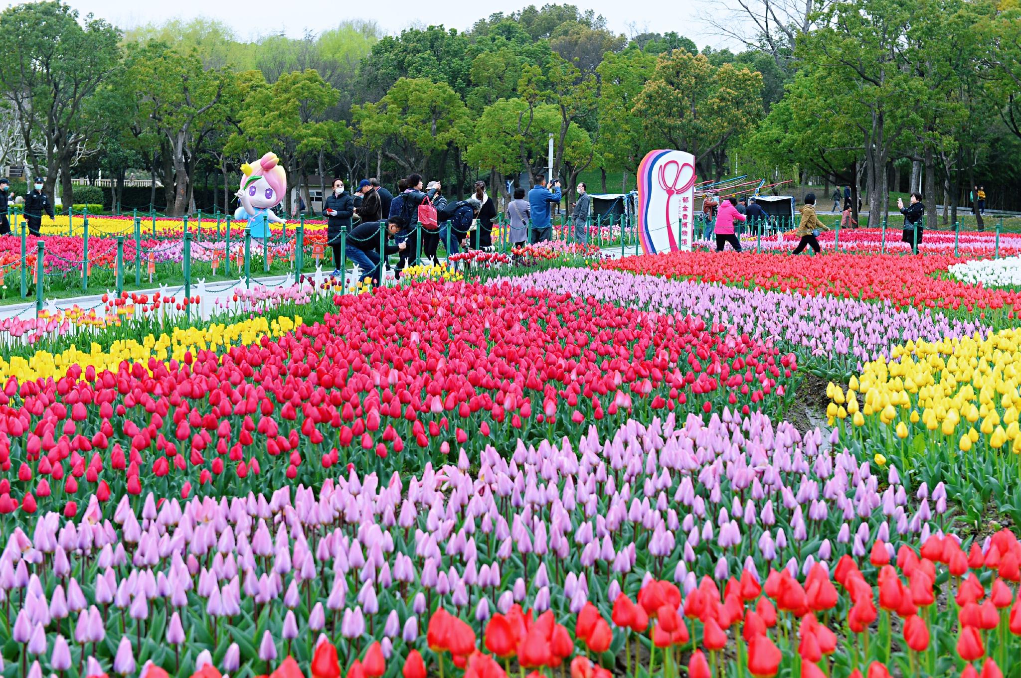 视频丨约卉缤纷春天大宁公园赏花踏青美景相邀