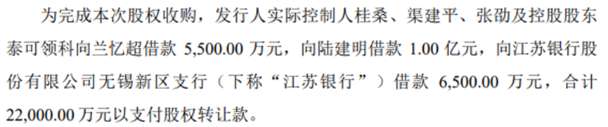 借款摘要，数据来源：上会稿