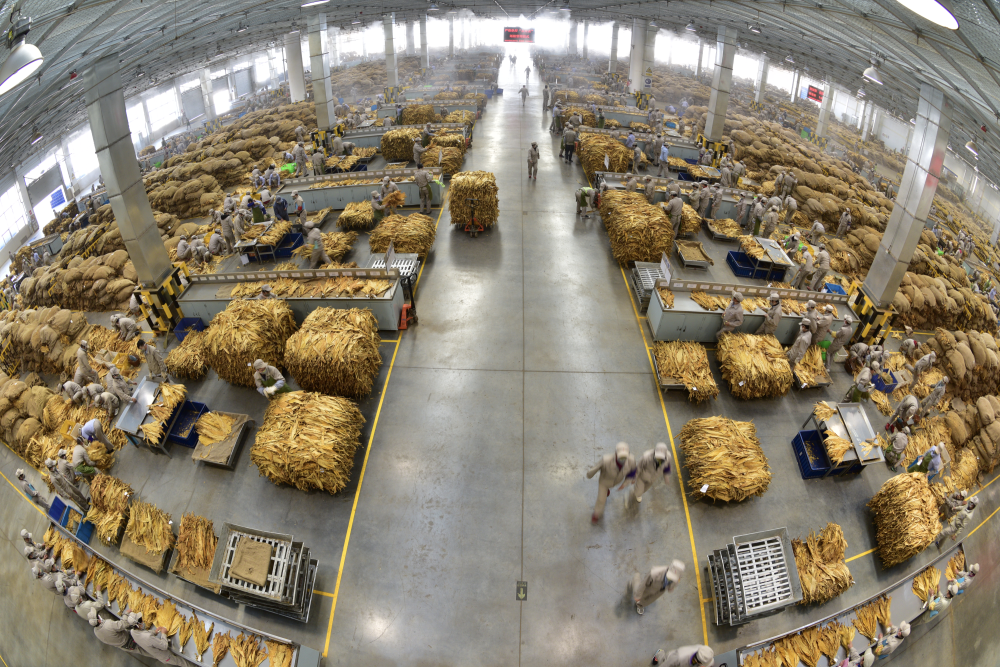 去年烟草行业实现税利总额1.35万亿,同比增长6.08%_新浪财经_新浪网