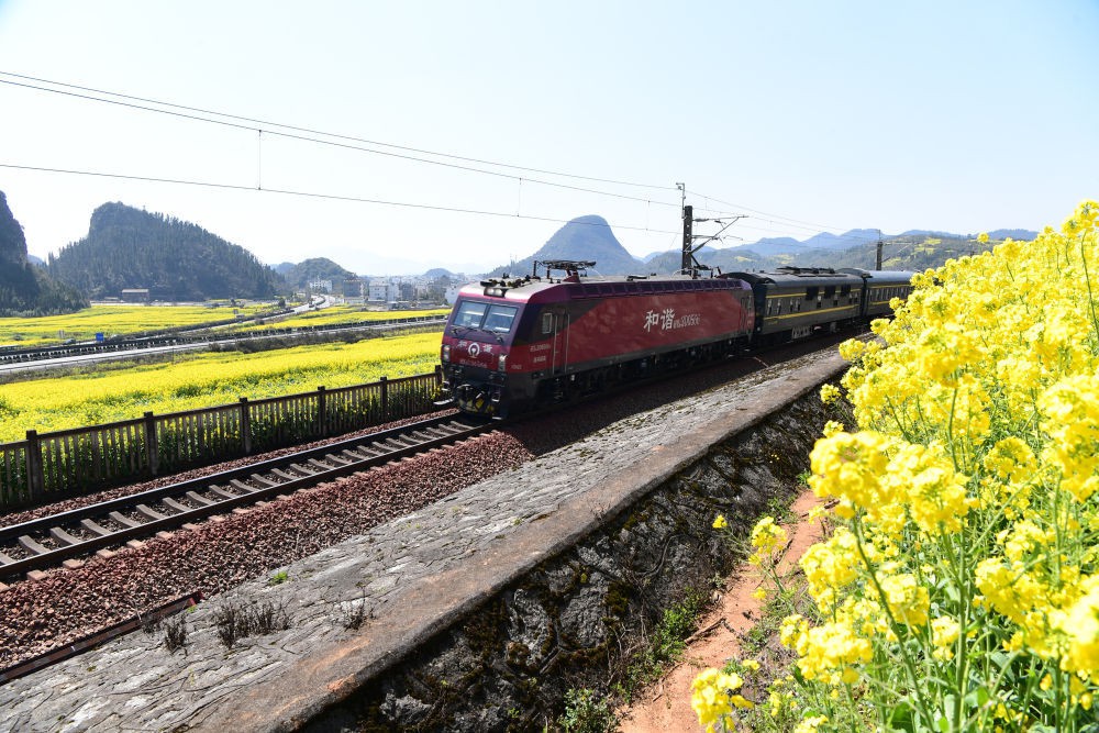 2月28日，列车从油菜花海中穿过，便捷的交通为旅游产业发展提供保障。