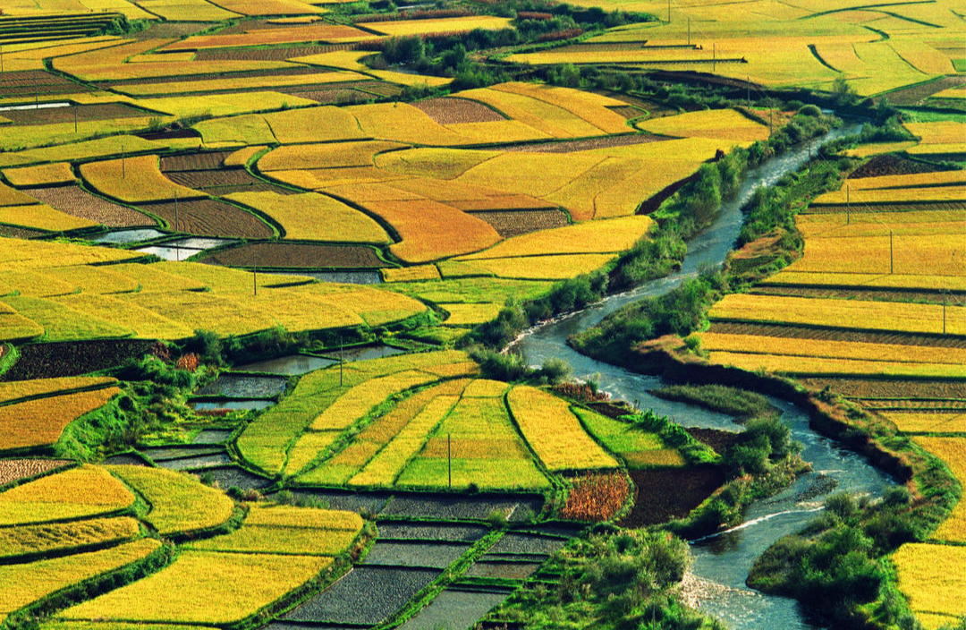 安宁河流域物产丰富(西昌市委宣传部供图)