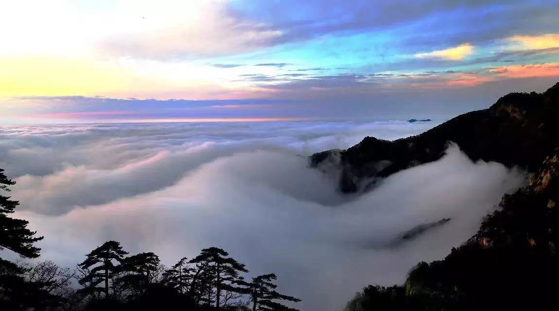 皖美春游|山高水长鸟语花香,天堂寨春日好风光_手机新浪网