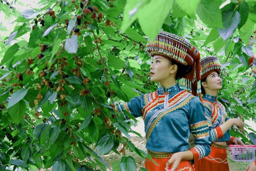 安宁河流域物产丰富(余洋供图)