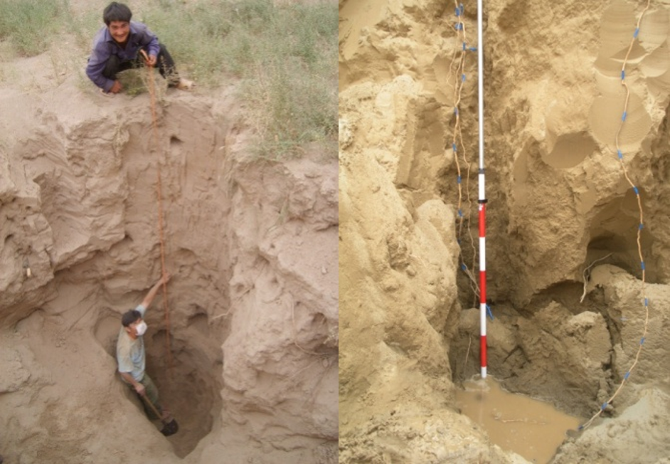 骆驼刺根系的挖掘(左)和深达地下水的根系(右)(图片来源&nbsp;:策勒