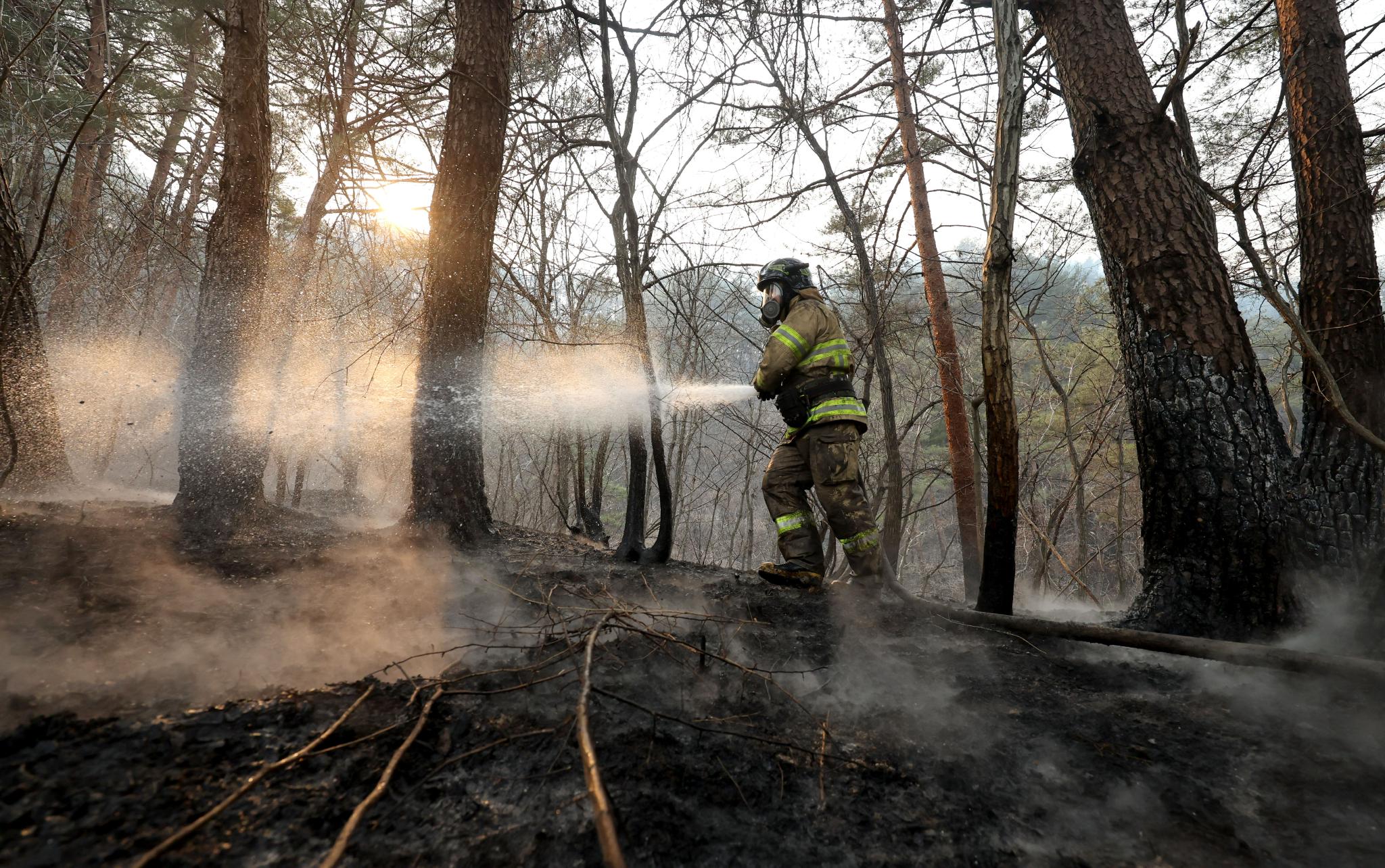 3月7日,韩国庆尚北道,消防队员灭火