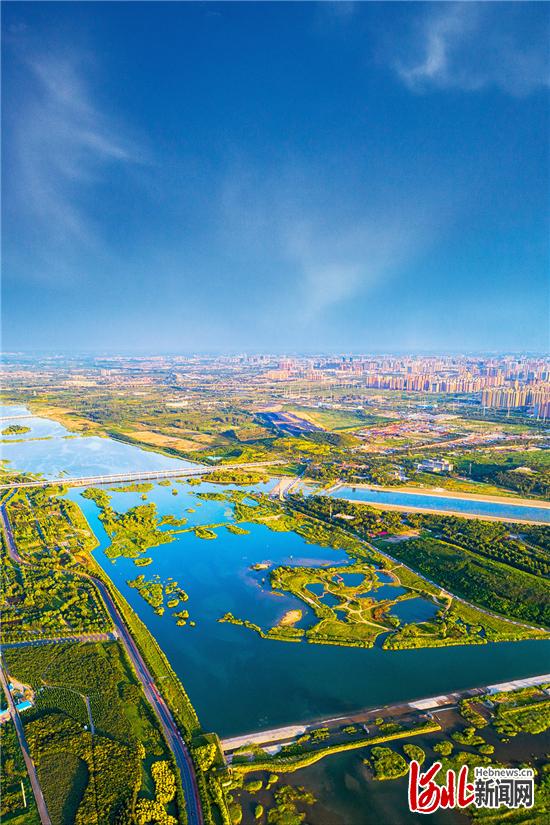 总量过万亿县市区怎么干石家庄市长安区委书记李强这样说