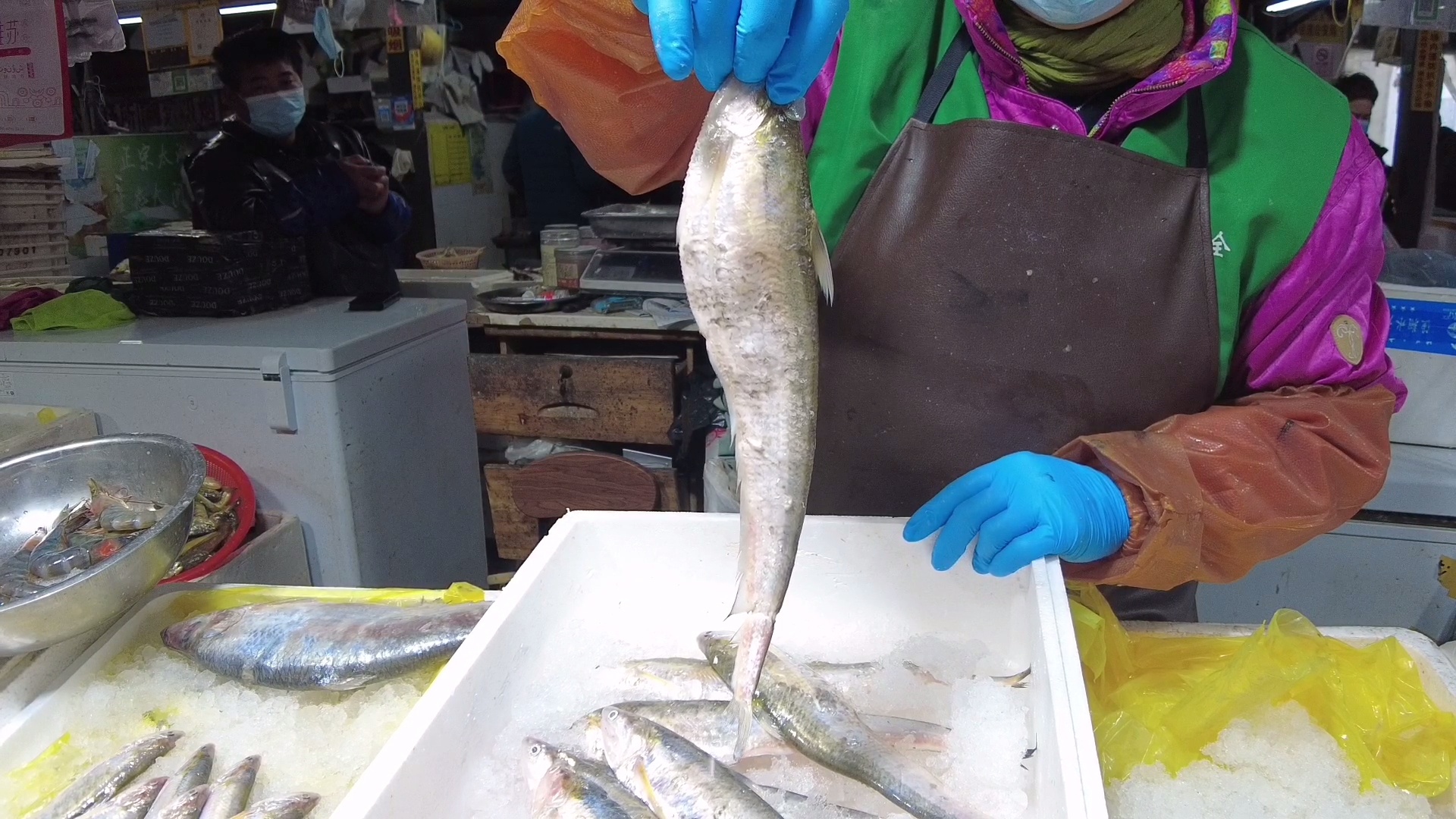 海刀鱼大量上市,价格远低于去年!