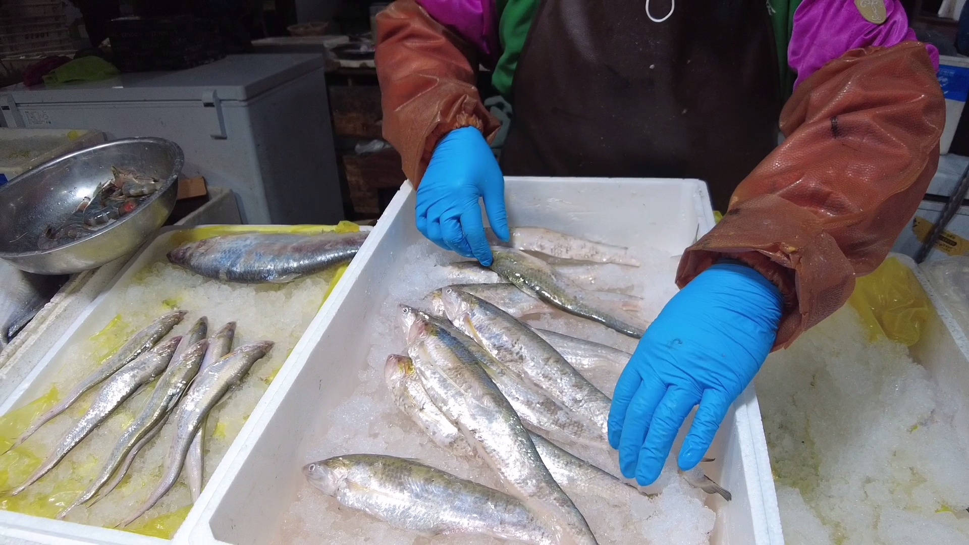 尝鲜季!海刀鱼大量上市,价格远低于去年!|长江_新浪财经_新浪网