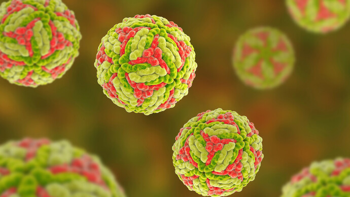 澳大利亚4个州出现乙脑病毒传播