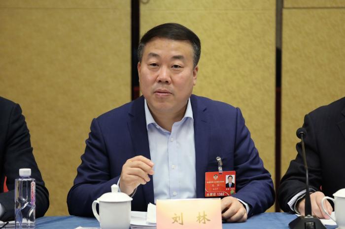 全国政协委员刘林:坚持公益属性 民办教育转型加快光明在前