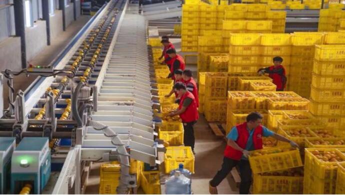 拼多多平台恒源祥妍铮专卖店售卖羽绒服为假冒产