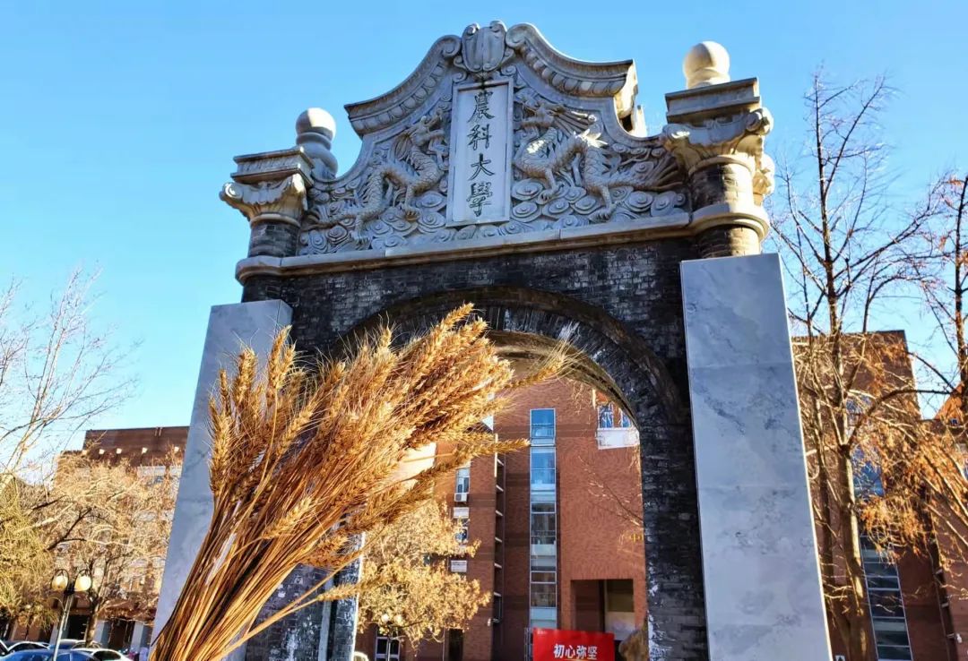 中国农业大学|复试|硕士研究生招生考试_新浪新闻