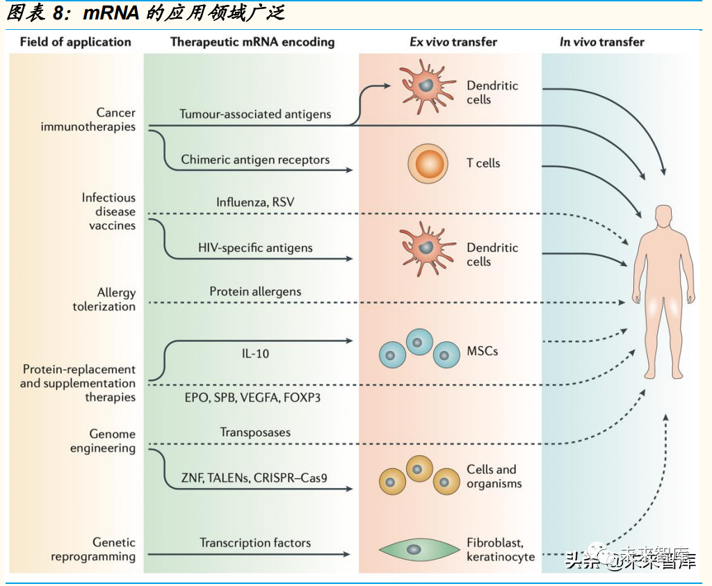 医药行业专题研究报告：mRNA疫苗前景广阔