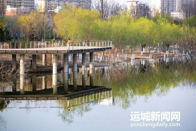 3月10日,运城市禹都公园呈现秀美的春日景色.记者 闫鑫 摄