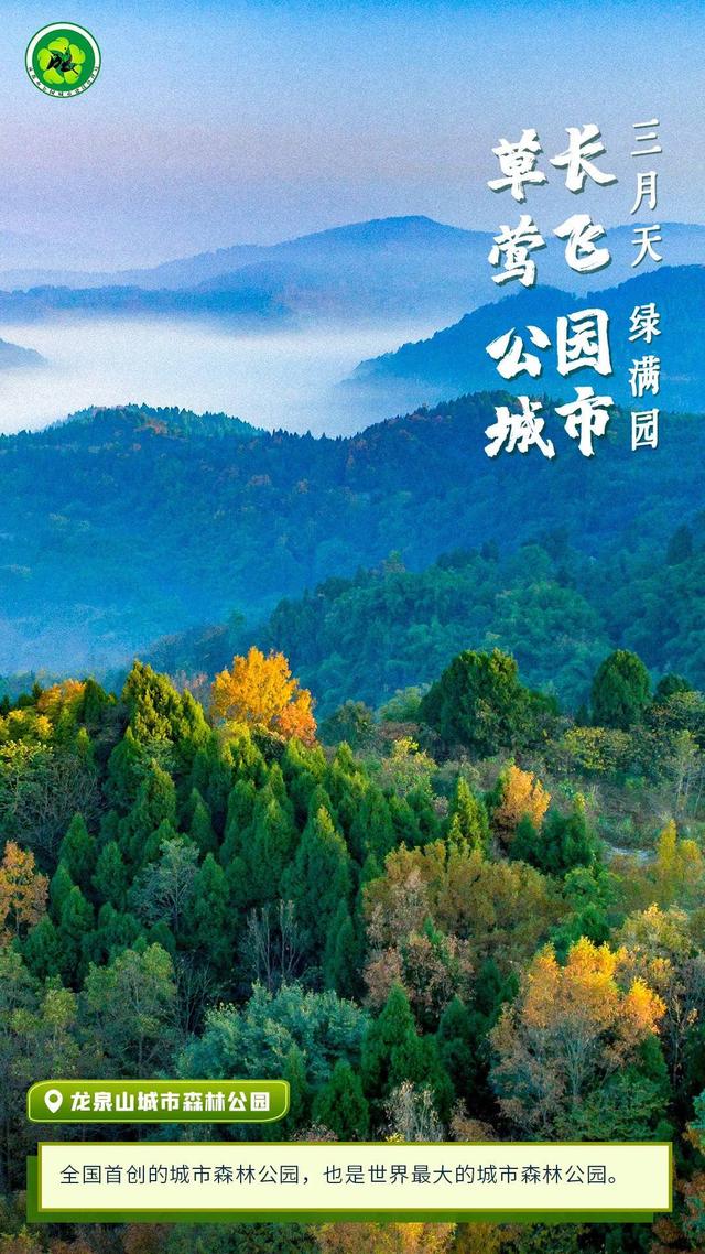 草长莺飞三月天 一组海报看公园城市绿满园|成都市_新浪财经_新浪网