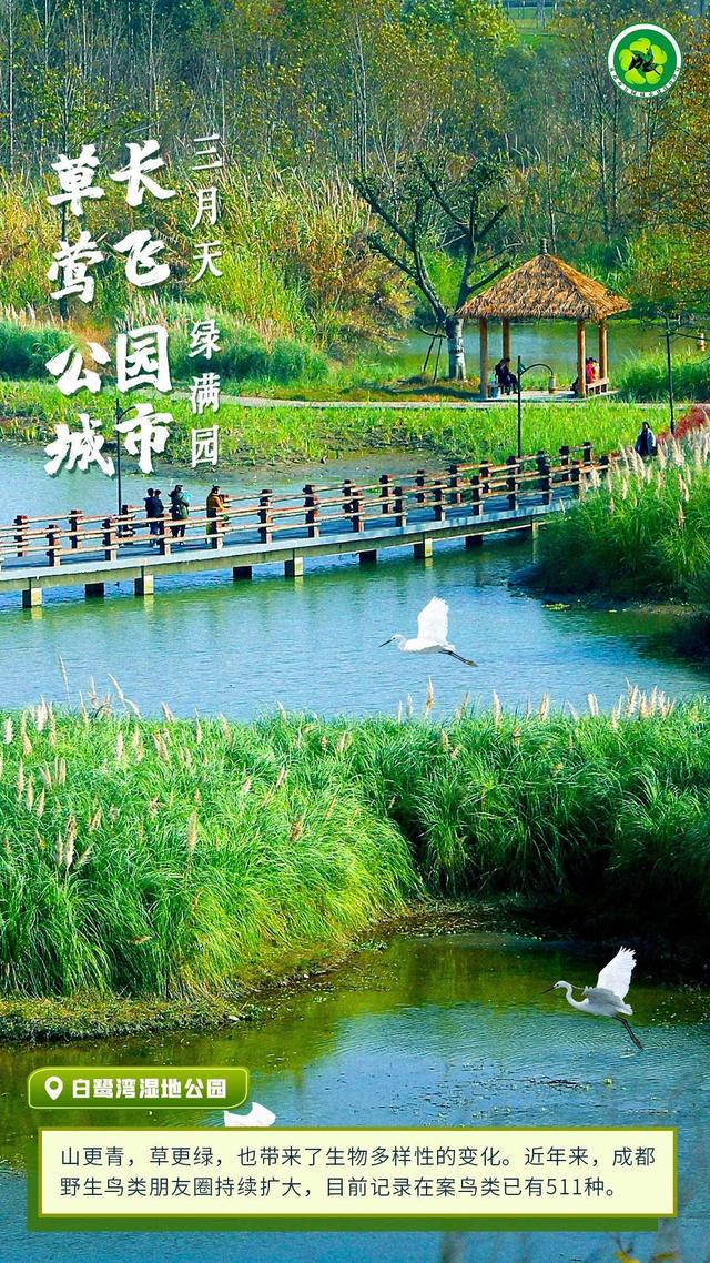 草长莺飞三月天 一组海报看公园城市绿满园|成都市_新浪财经_新浪网