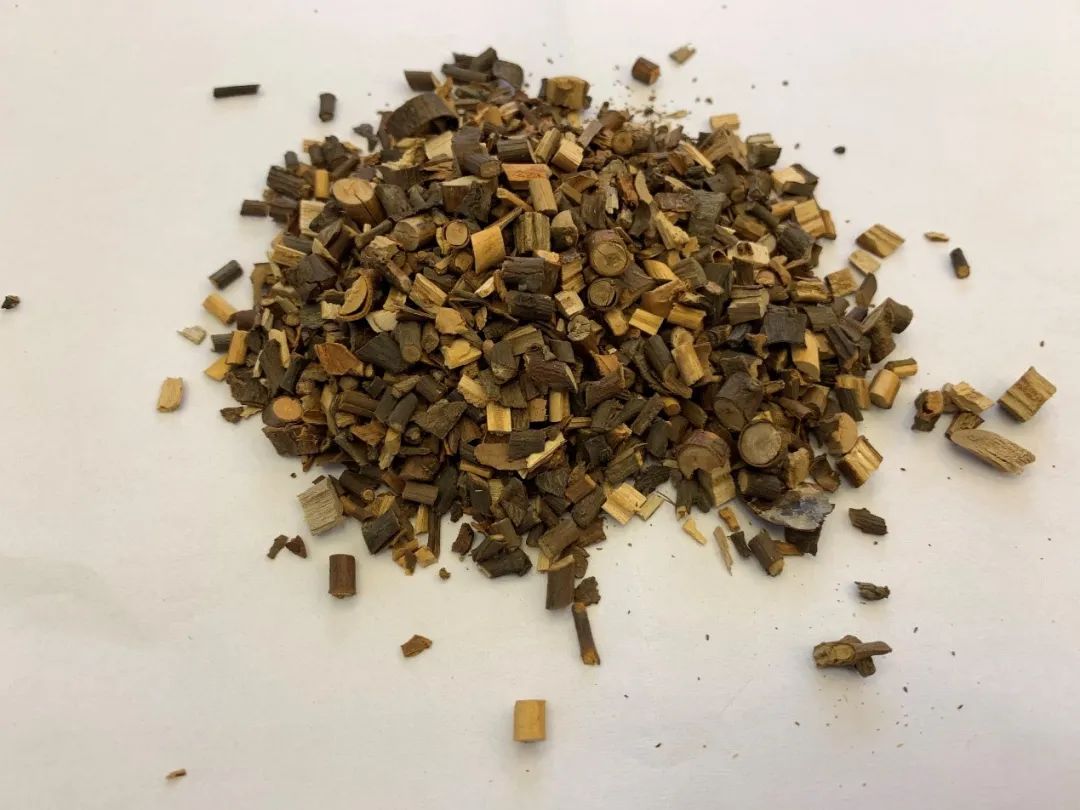 每周一药之桂枝