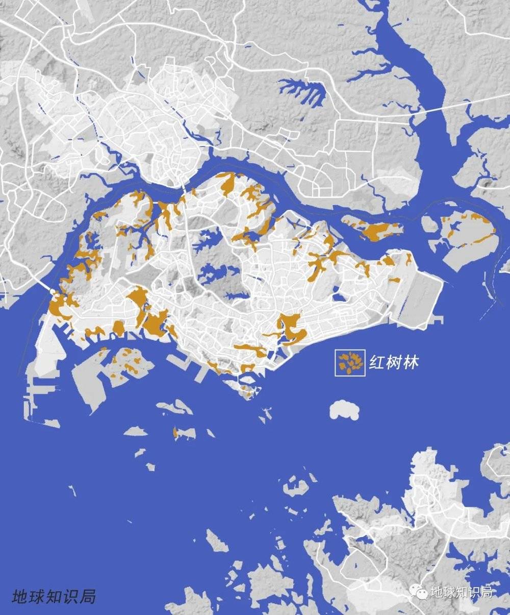 新加坡越变越大了