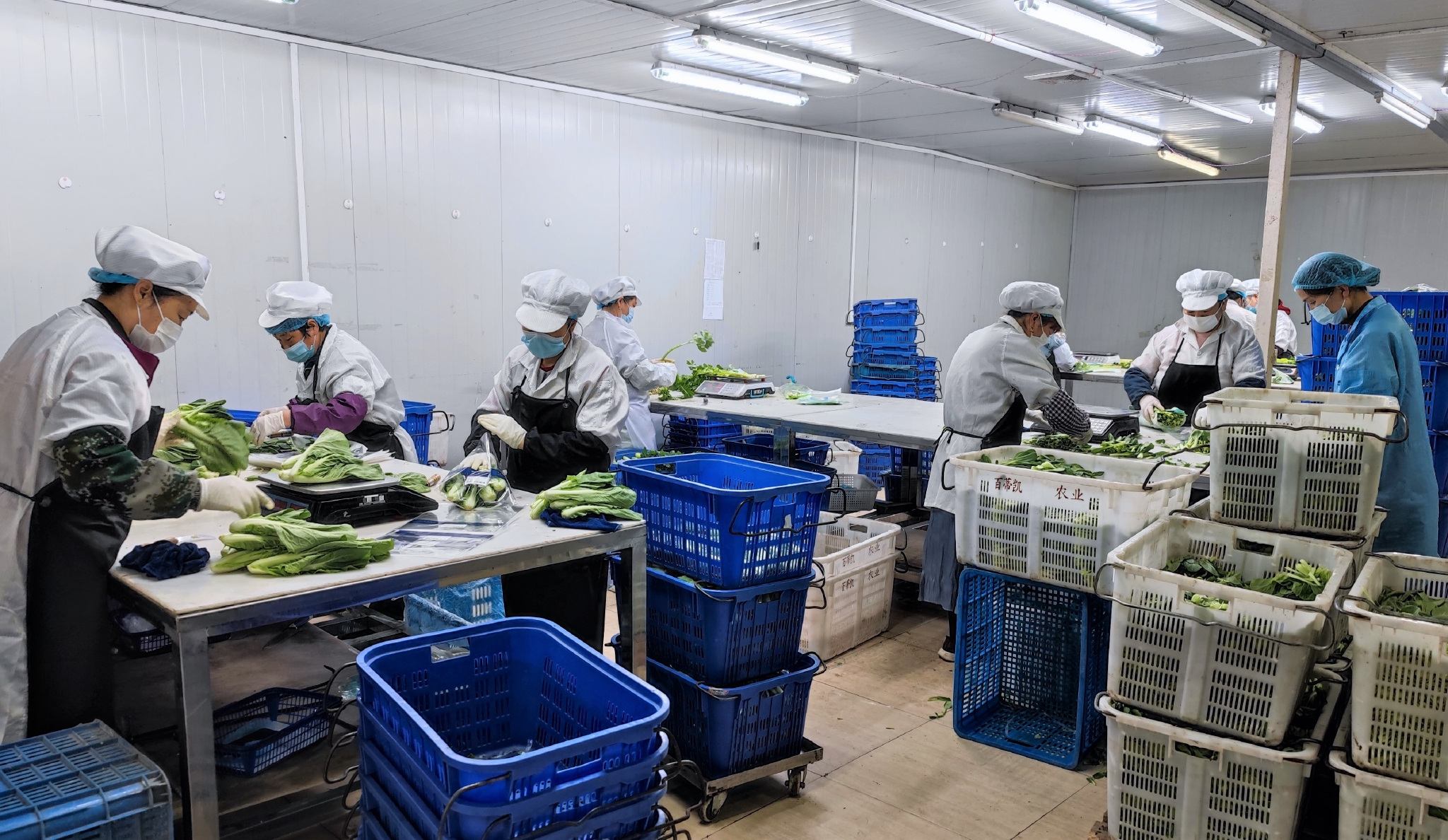 疫情期间,在这里团购肉类,蔬菜,水果.可直送社区