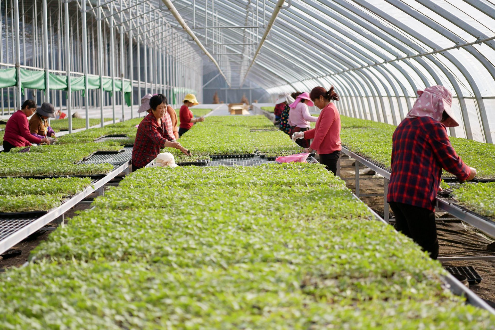 500元3小时不限次服务：都市人的效率革命还是消费陷阱？