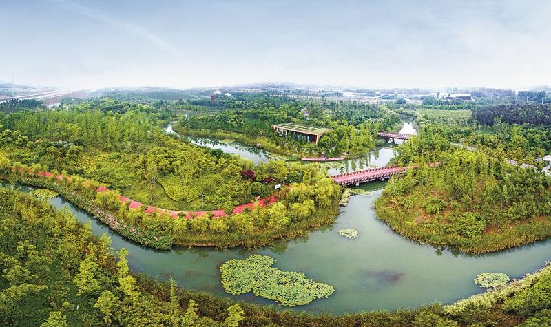 常州新龙生态林.江苏省林业局供图