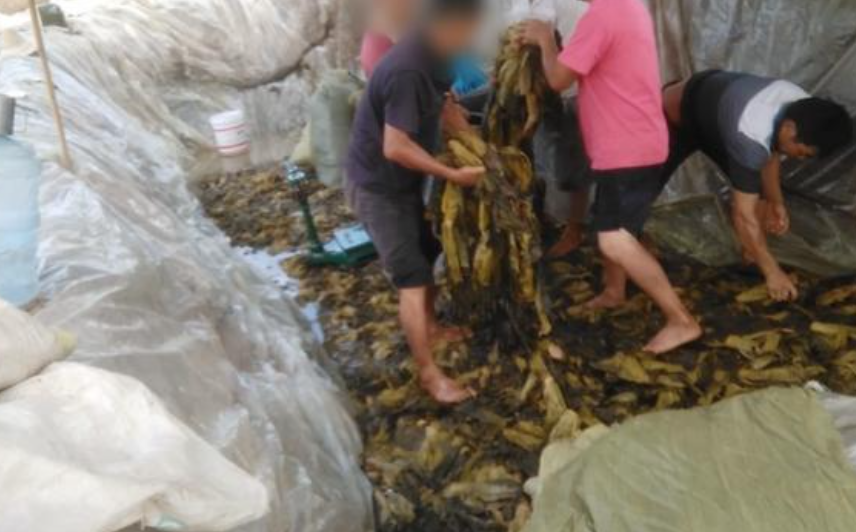 截图自晚会报道