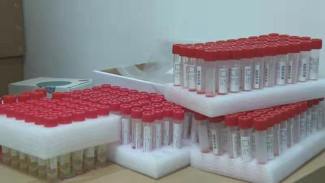 核酸检测物资充分及时这背后离不开他们