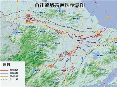 甬江流域禁捕 用心呵护宁波"母亲河"|宁波市_新浪财经_新浪网