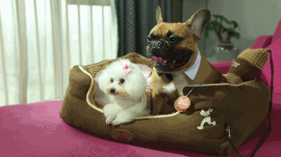 夏天头油，头皮毛囊被堵塞