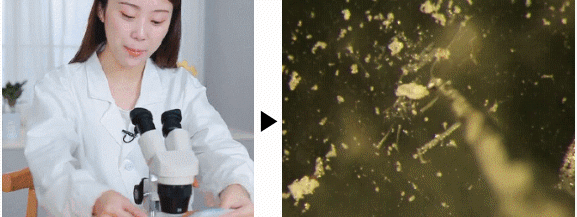 现在下单诺丽莎驱螨喷雾