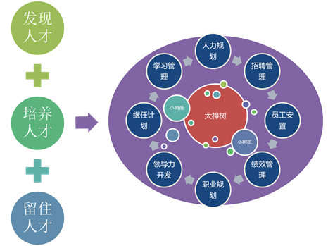 ▲吉利的人才森林