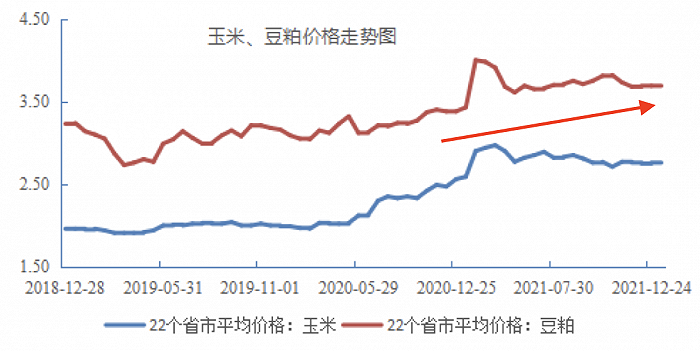 图源：京基智农2021年年报