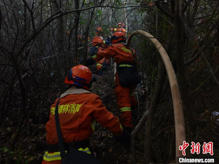 大理凤仪镇突发森林火灾火场东线南线基本得到控制