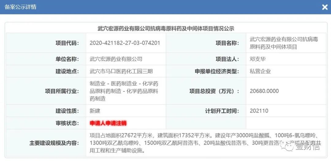 (截图来自湖北政务服务网)