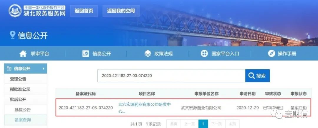 (截图来自湖北政务服务网)