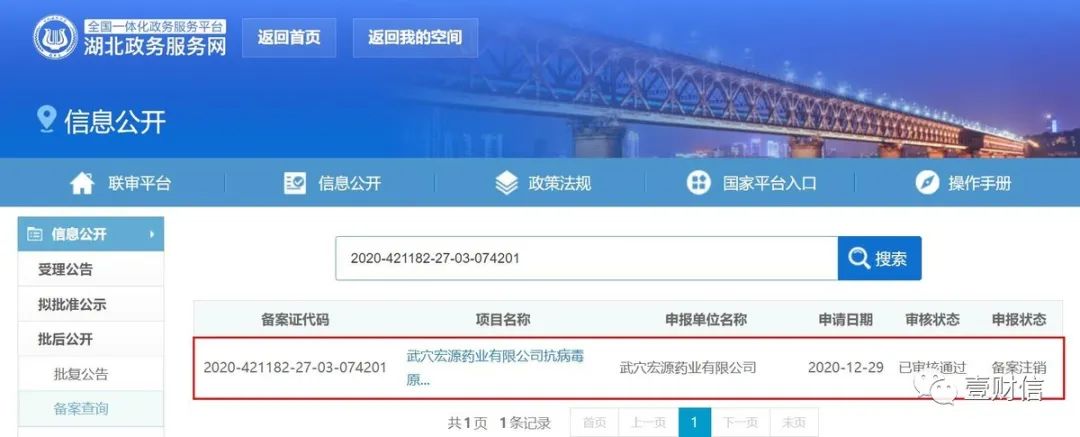 (截图来自湖北政务服务网)