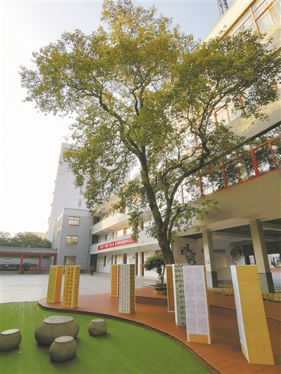 县塔山幼儿园奉化第一实验幼儿园象山海韵幼儿园余姚市姚北实验学校