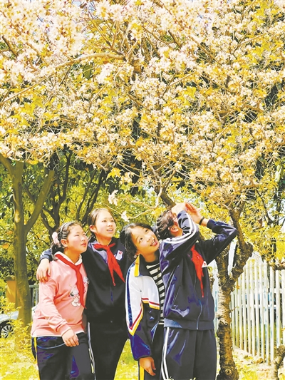 余姚市姚北实验学校