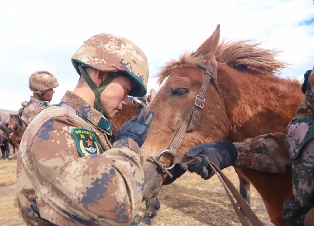 近日,西部战区陆军某旅果洛骑兵连为刚下连不到一个月的新兵举行授予