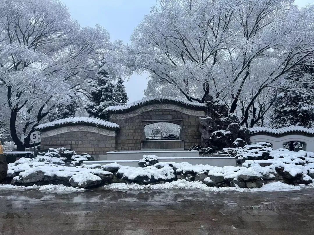 3月18日拍摄的北京朝阳团结湖公园雪景.王新迎 摄