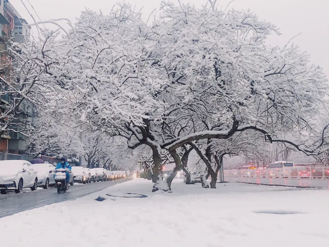 3月18日,北京朝阳金台路附近的街景.记者 王皓然 摄