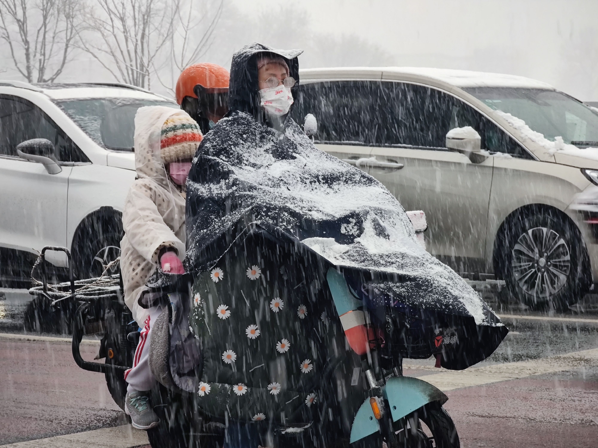 新京报记者 王巍 摄