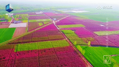 幅员辽阔的中国