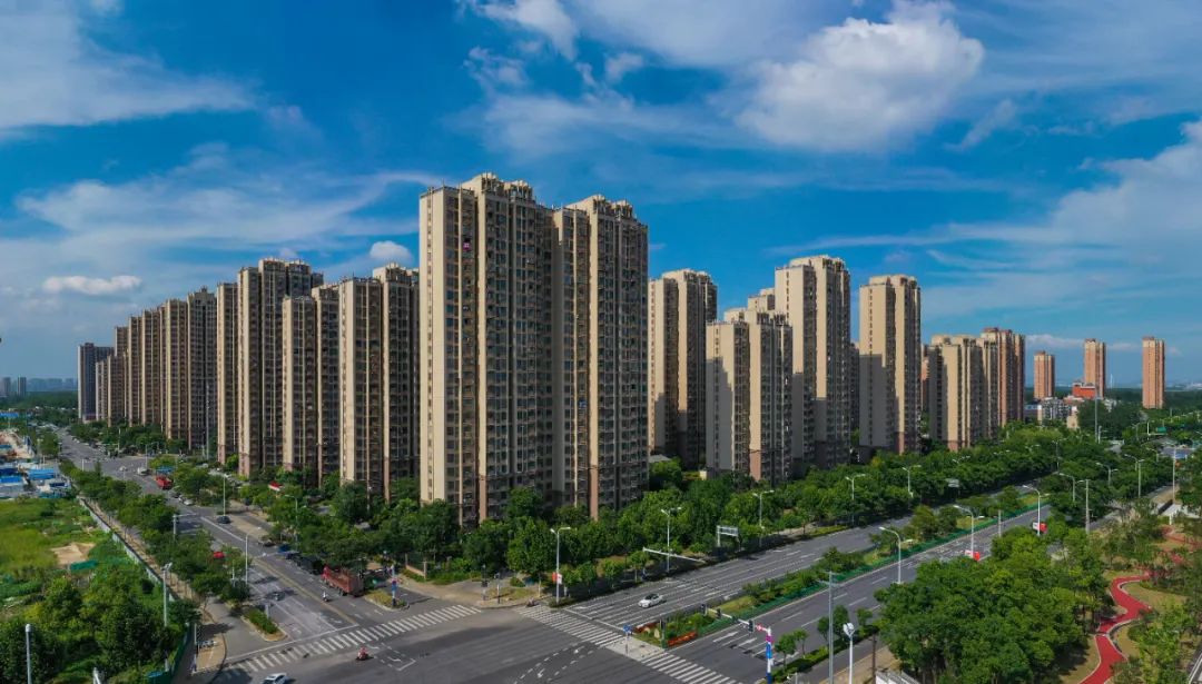 合肥市大圩镇葡萄架下的幸福生活