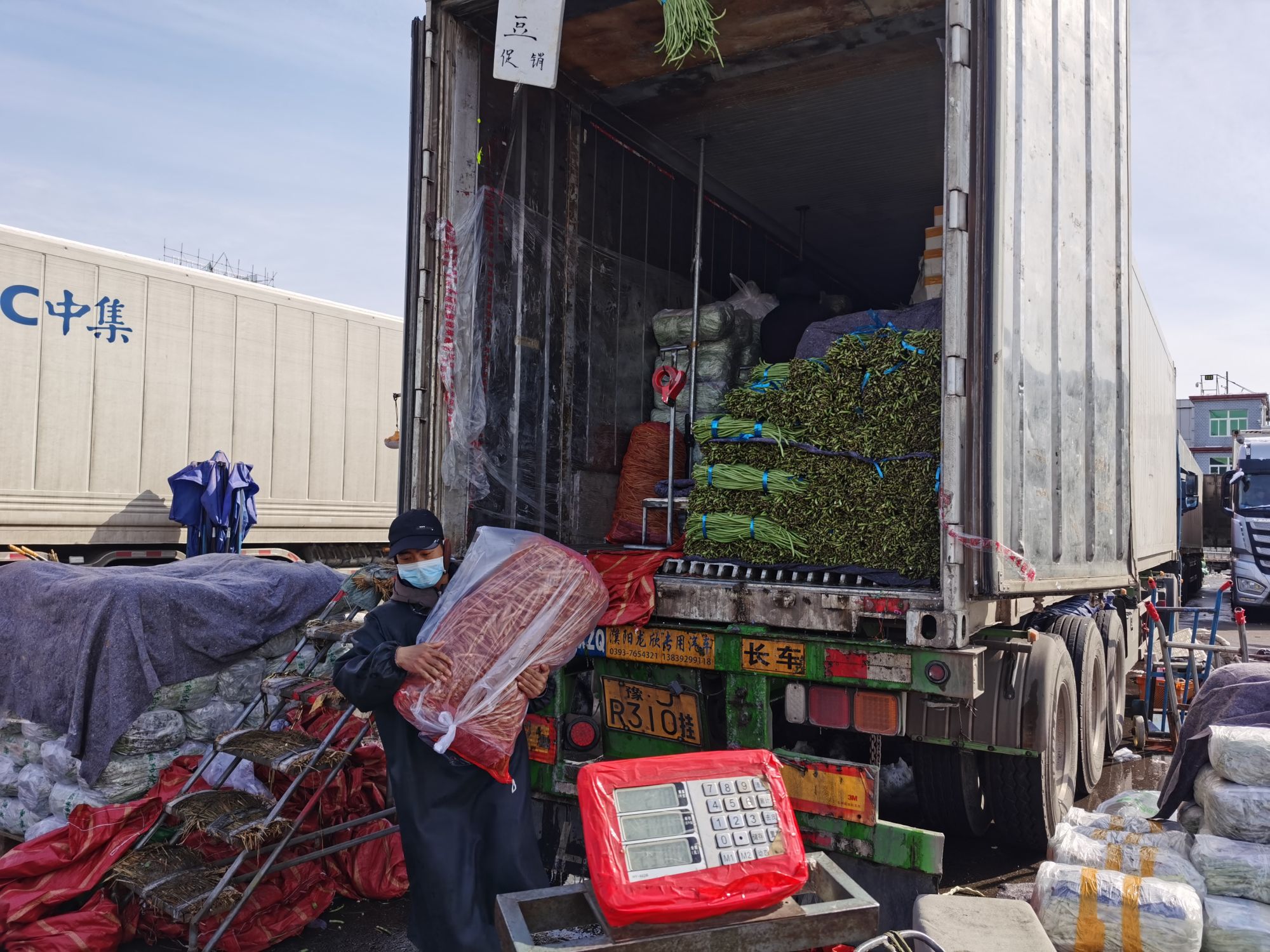 商户正从大货车上卸下新鲜蔬菜.新京报记者 陈琳 摄
