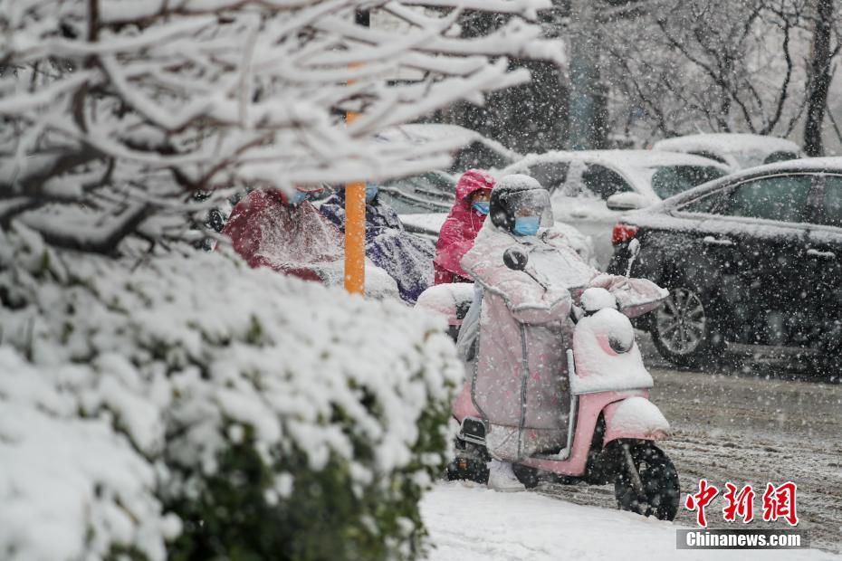 北京持续降春雪民众雪中观景