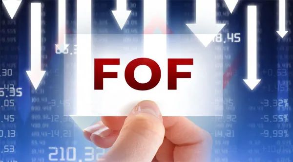 “回撤加剧！市场宽幅震荡，公募FOF业绩太受伤，如何应对风险？