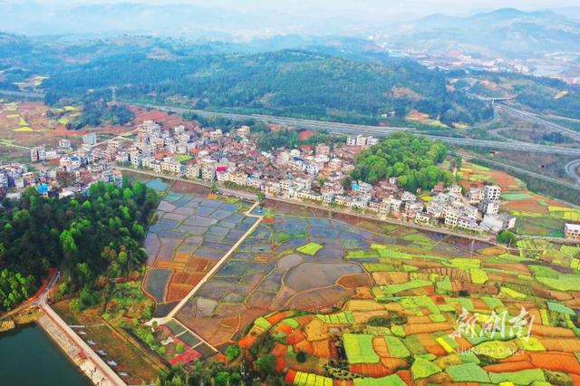 3月20日,嘉禾县龙潭镇,高速公路与成片田园,金黄菜地,错落民居,翠绿